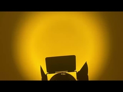 Светодиодный светодиод WW CW